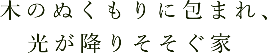 木のぬくもりに包まれ、光が降りそそぐ家
