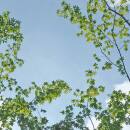空