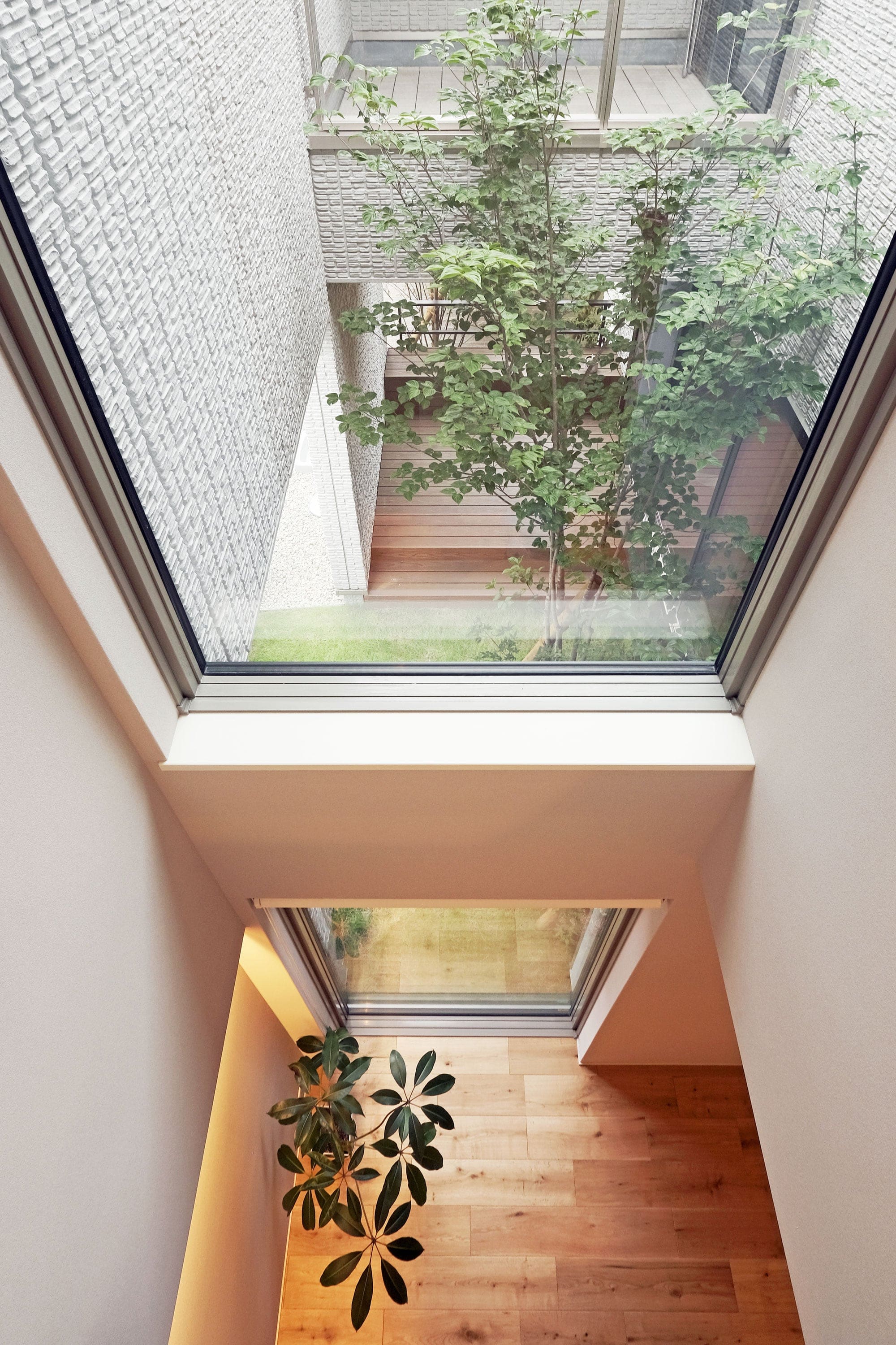 邸宅写真：包緑の家 吹抜け 内観 写真