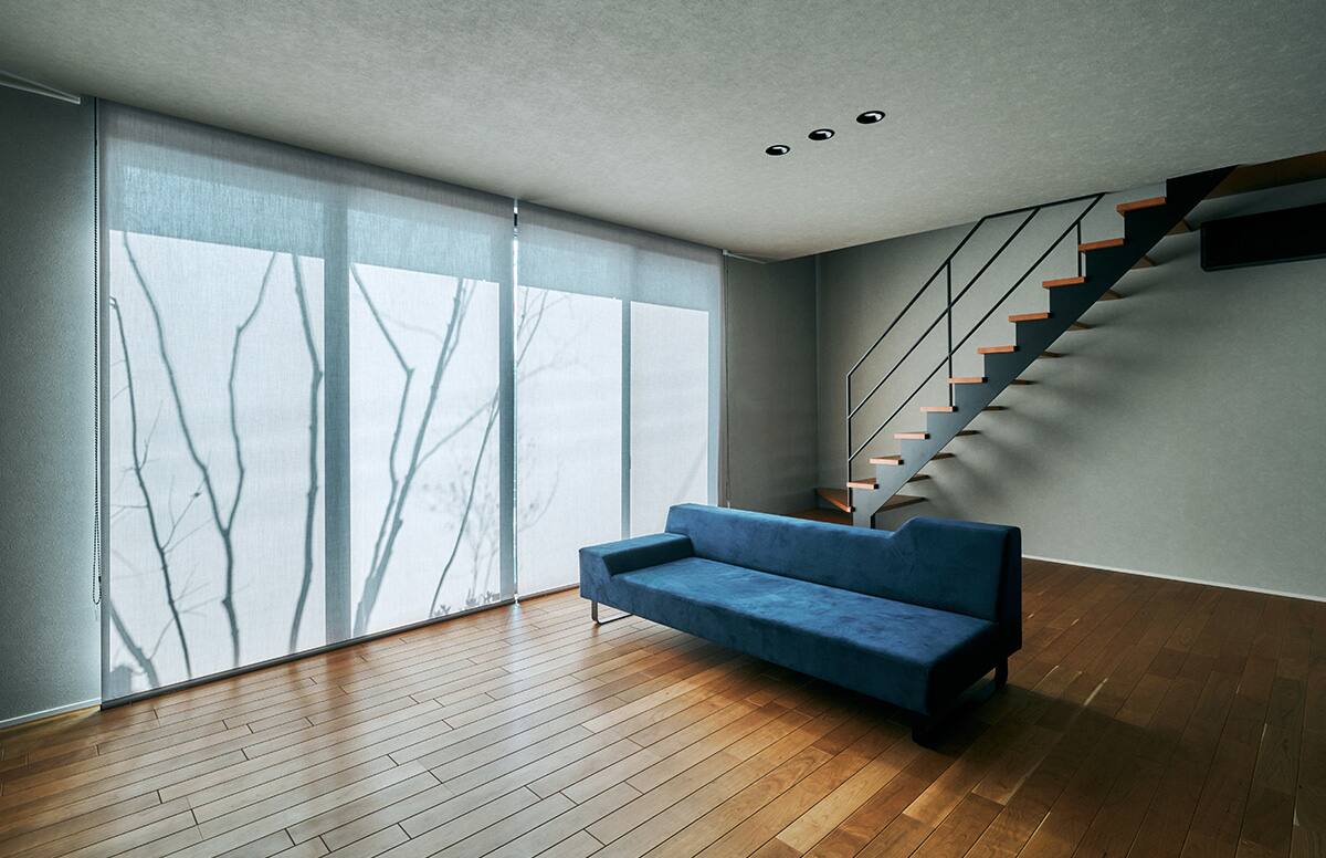 青と木立の家03