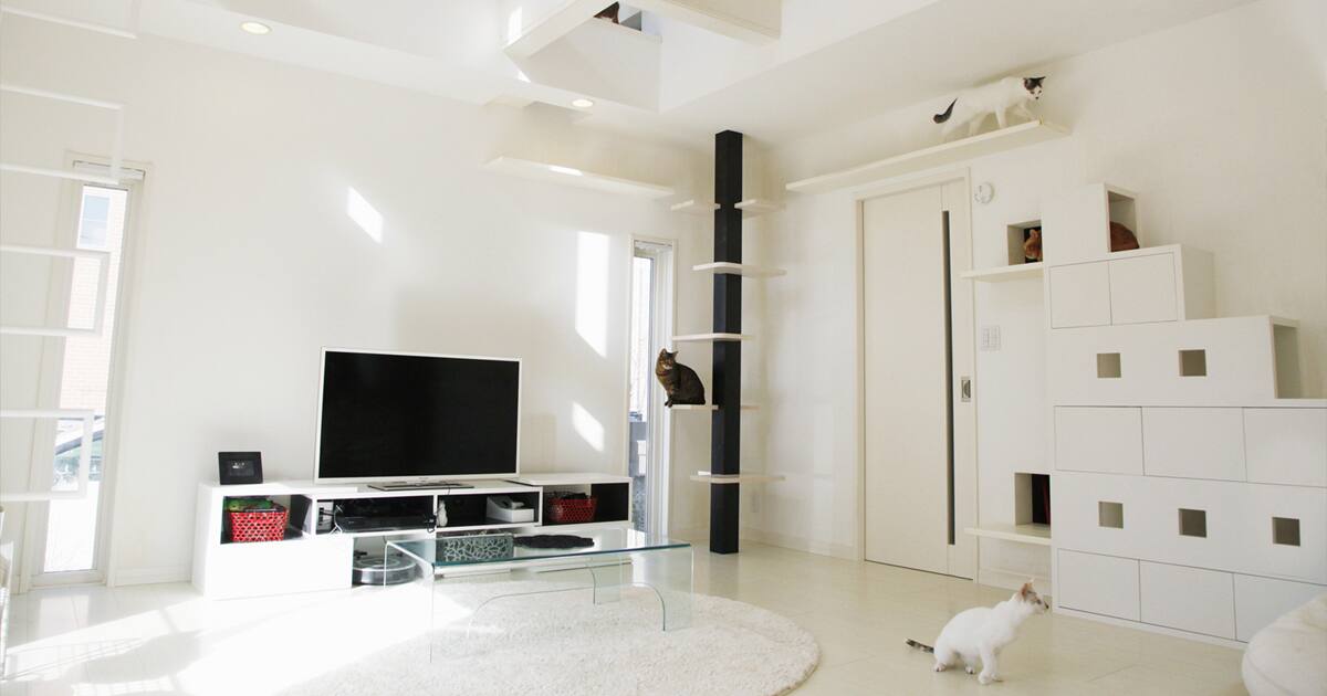 2 ネコハウス（2階建てマンション） めざしたのは、猫が心から安らげる住まい｜STORY & MY HOME｜住まいの