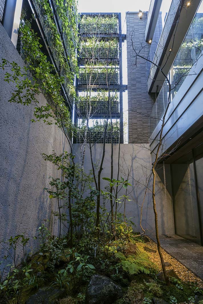 地下から3階まで4層をつらぬくコートには、日陰に強い藪椿などの植栽を設置。照明の効果で緑のつやを引き立て、地下空間を演出。
