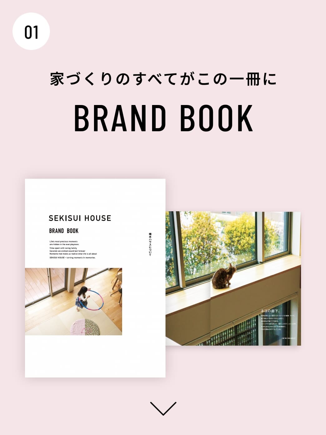 BRAND BOOK