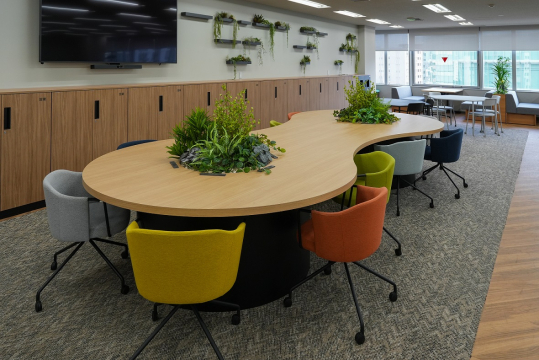 グリーンとカラフルな椅子が印象的な事務所内ワークスペース。
打ち合わせや休憩スペースとして活用しています。