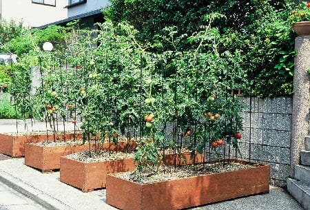 家庭菜園の新しい形 「菜園ガーデン」 | ニュースリリース