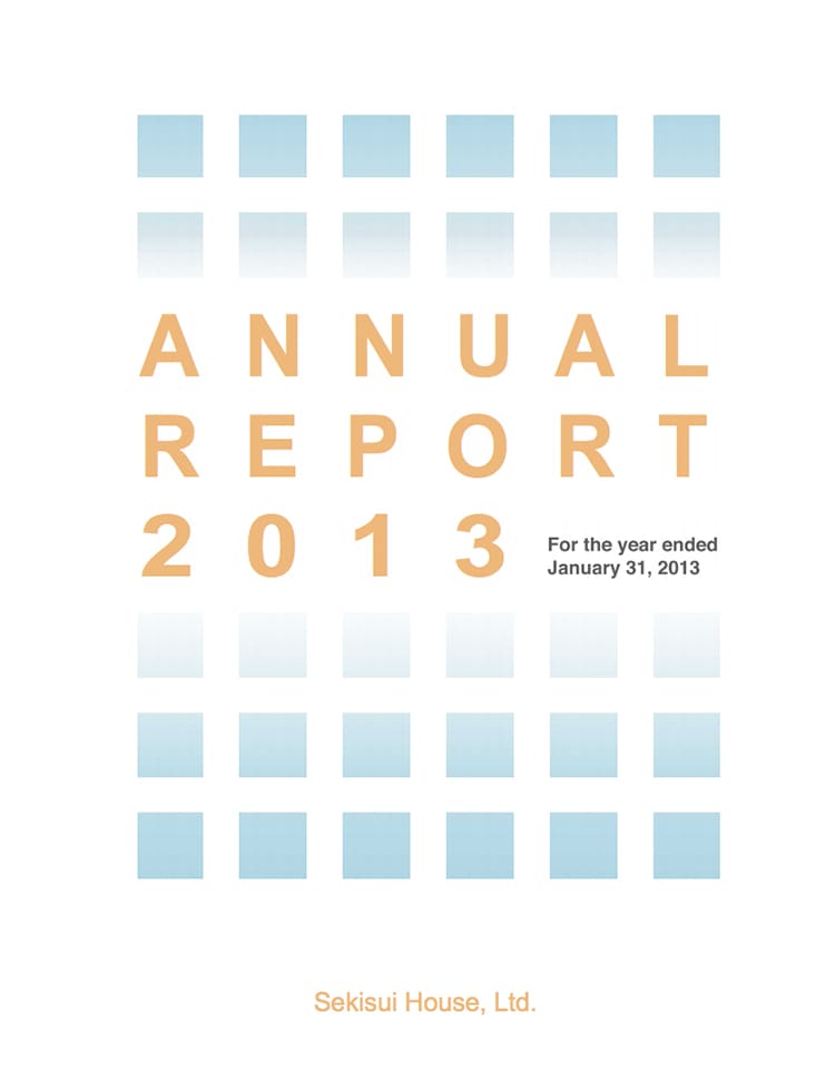 ANNUAL REPORT 2013