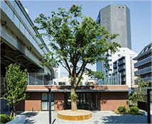 写真：「ナーサリールームベリーベア深川冬木」（東京都江東区）の外観