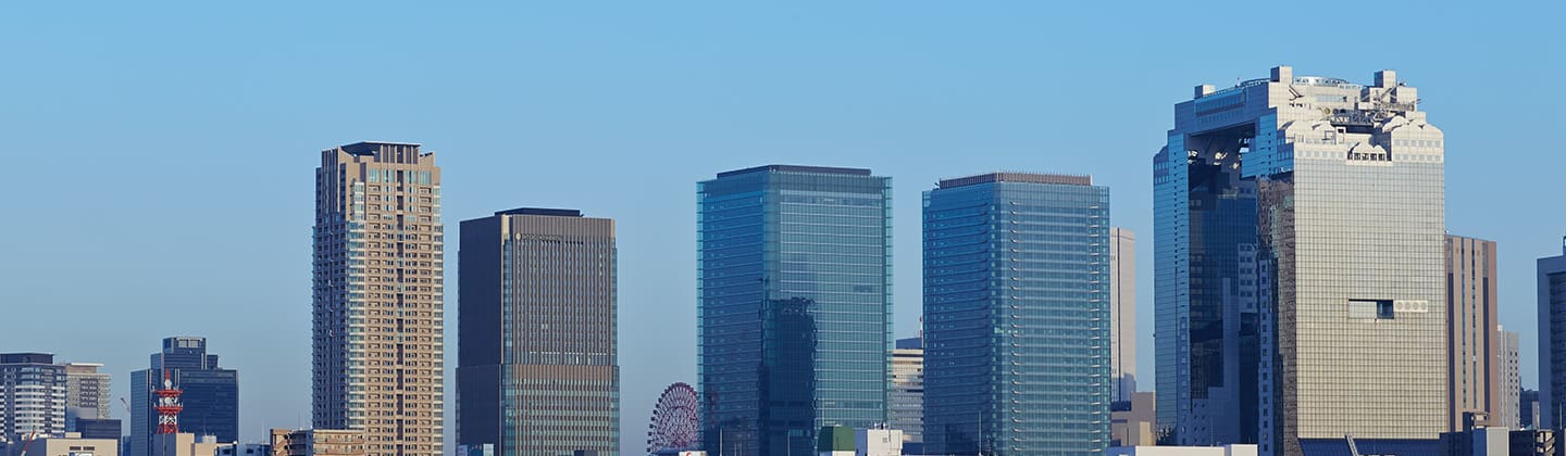 大規模共同開発事業