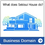 Business Domain