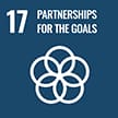 17. PARTNERSHIPS FOR THE GOALS