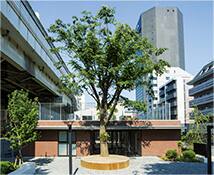 Exterior of Nursery Room Berry Bear Fukagawafuyuki in Koto-ku, Tokyo