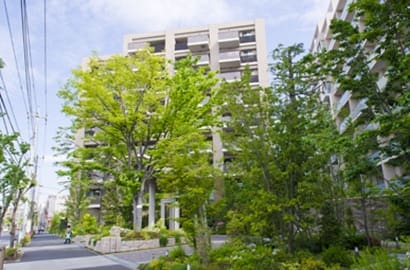 街路整備の行き届いた閑静な住宅地に立地。