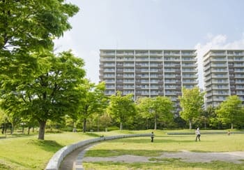 緑地側からマンションを望む。