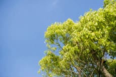 遠くへ出かけなくても「ちょっとしたお出かけが特別」に