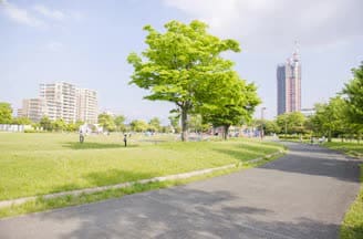 お子さまが公園で遊んでいる間に、ママ友同士でウォーキングしている方も多いとか。