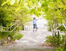 地区の象徴となる鎮守の森のような公園「照葉の森」の一本道が、人々を海へと導きます。