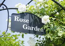 バラを中心に、四季を通じて150種類もの草花が色とりどりの表情を見せてくれます。