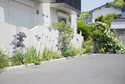駐車場前のスペース。キャンバスに見立てた白い壁に植栽が映えます。