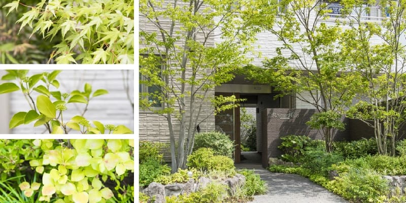 建物と外構と植栽が調和し、さらに周辺の緑とも響き合う住環境。「街の資産」と呼ぶにふさわしい品格が「リヴェールヒルズ」には備わっています。