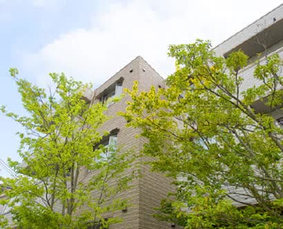 豊かな植栽が外観の表情を彩り、品格のある佇まいに