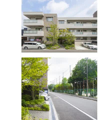 アプローチの豊かな植栽が、前面道路を挟む南面に位置する公園の緑と響き合い、良好な住環境を育んでいます。