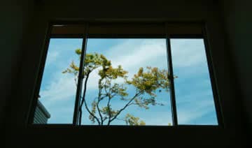 吹き抜け上部の窓に美しく取りこまれた青空。​