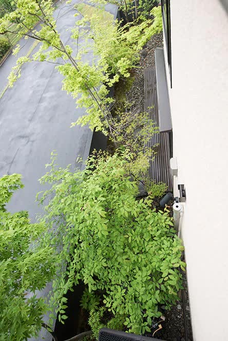 里山を思わせる植栽が、通りに潤いをもたらしています。