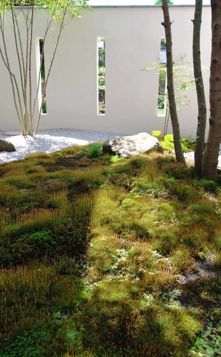 苔が枯山水の庭園の雰囲気を演出。