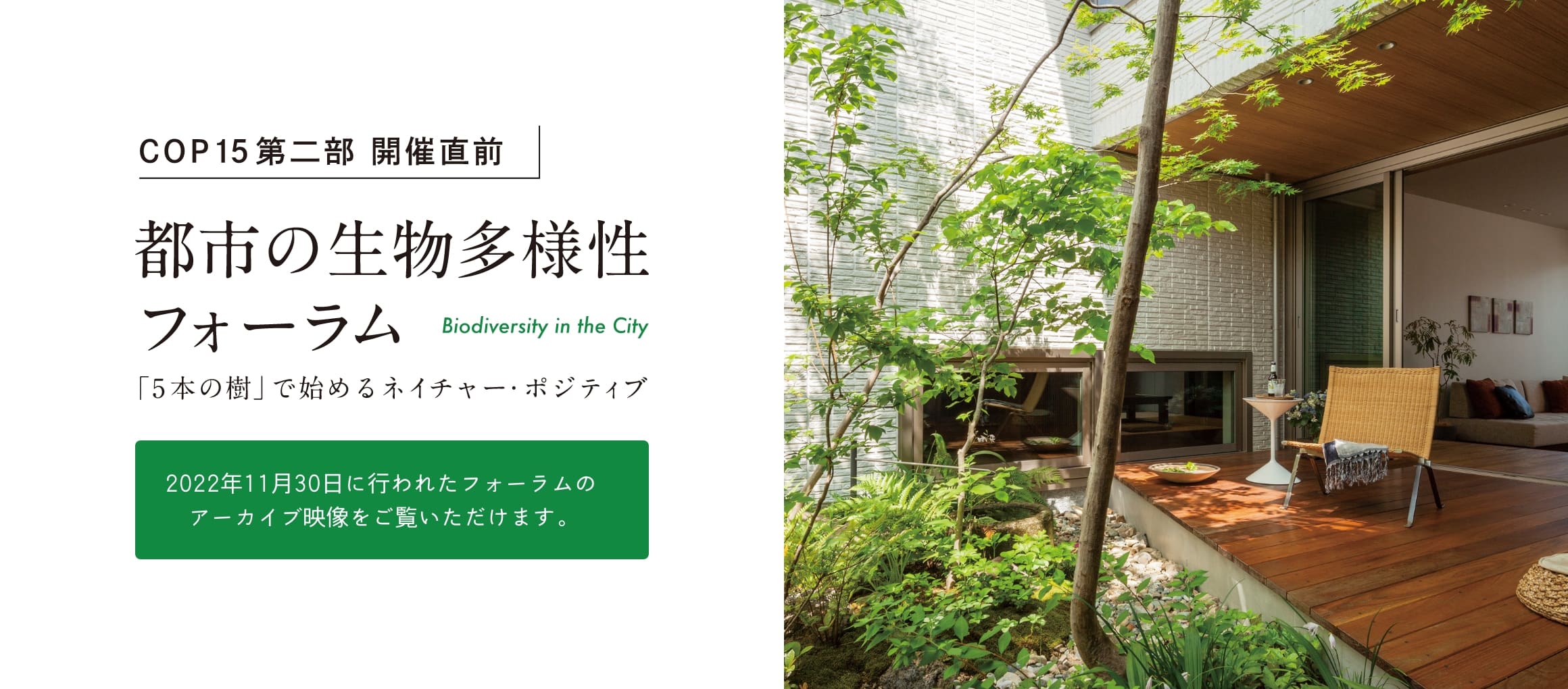 COP15第二部 開催直前 都市の生物多様性フォーラム
                     Biodiversity in the City　「５本の樹」計画でネイチャー・ポジティブ
                     　2022年11月30日に行われたフォーラムのアーカイブ映像をご覧いただけます。