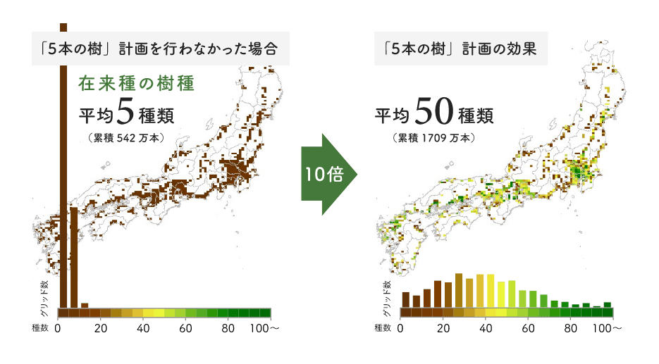 「5本の樹」計画を行わなかった場合 在来種の樹種 平均5種類(累計542万本) 10倍→ 「5本の樹」計画の効果 平均50種類(累計1709万本)