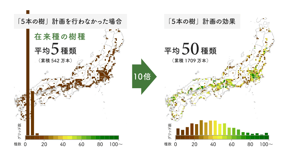 「5本の樹」計画を行わなかった場合　在来種の樹種　平均5種類（累計542万本）　10倍→　「5本の樹」計画の効果 　平均50種類（累計1709万本）