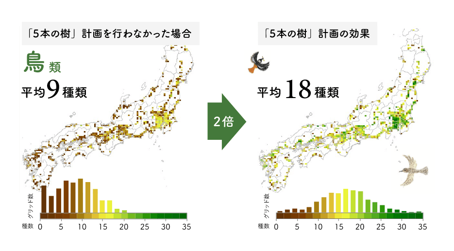 「5本の樹」計画を行わなかった場合 鳥類 平均9種類 2倍→ 「5本の樹」計画の効果 平均18種類