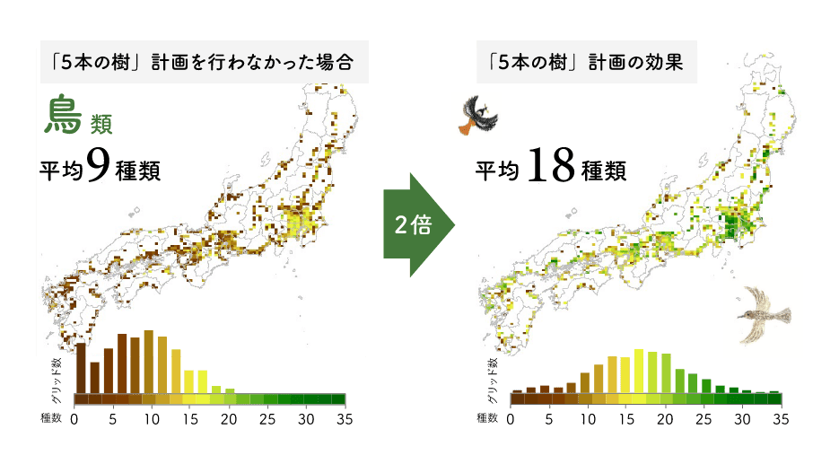 「5本の樹」計画を行わなかった場合　鳥類　平均9種類 2倍→　「5本の樹」計画の効果　平均18種類