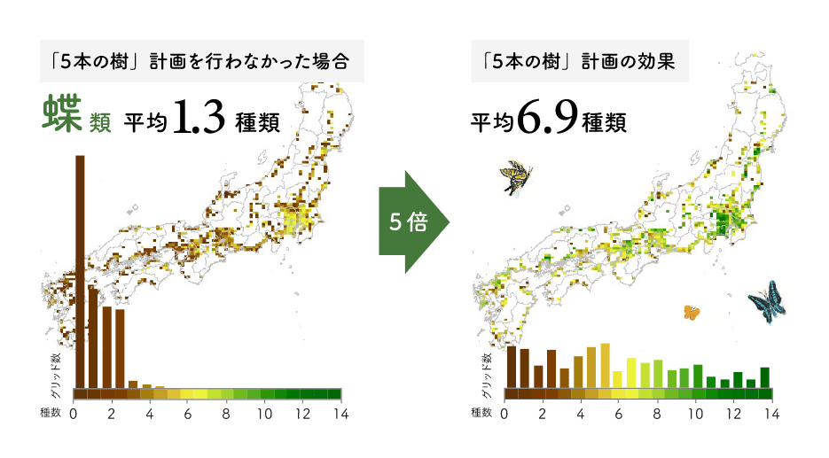 「5本の樹」計画を行わなかった場合 蝶類 平均1.3種類 5倍→ 「5本の樹」計画の効果 平均6.種9種類