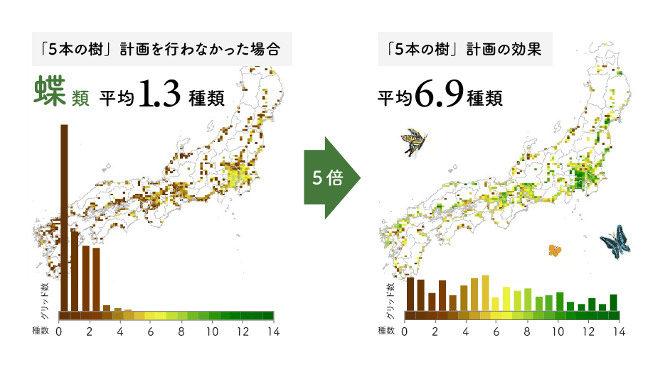 「5本の樹」計画を行わなかった場合　蝶類　平均1.3種類 5倍→　「5本の樹」計画の効果　平均6.種9種類