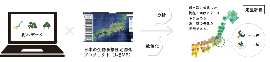 樹木データ×日本の生物多様性地図化プロジェクト(J-BMP)→分析 数値化 定量評価
都市部に植栽した樹種・本数によって呼び込める鳥・蝶の種数を推測できる。