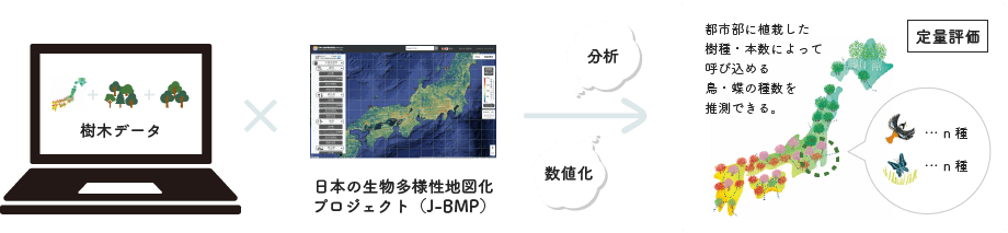 樹木データ×日本の生物多様性地図化プロジェクト（J-BMP）→分析 数値化 定量評価
                                    都市部に植栽した樹種・本数によって呼び込める鳥・蝶の種数を推測できる。