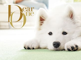 DearOneの写真