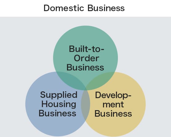 Domestic Business