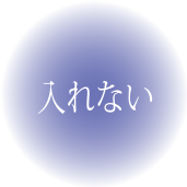 入れない