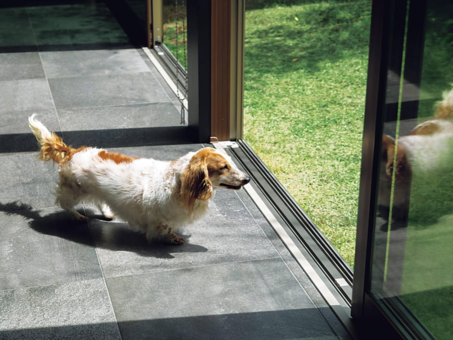 実例集 For Dog 暮らし方 戸建住宅 積水ハウス