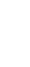 りん 凛 spirit