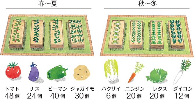 ＜イメージ＞春夏秋冬収穫できる野菜