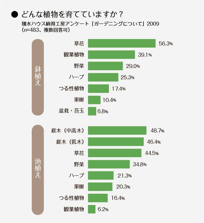 ＜グラフ＞どんな植物を育てていますか？