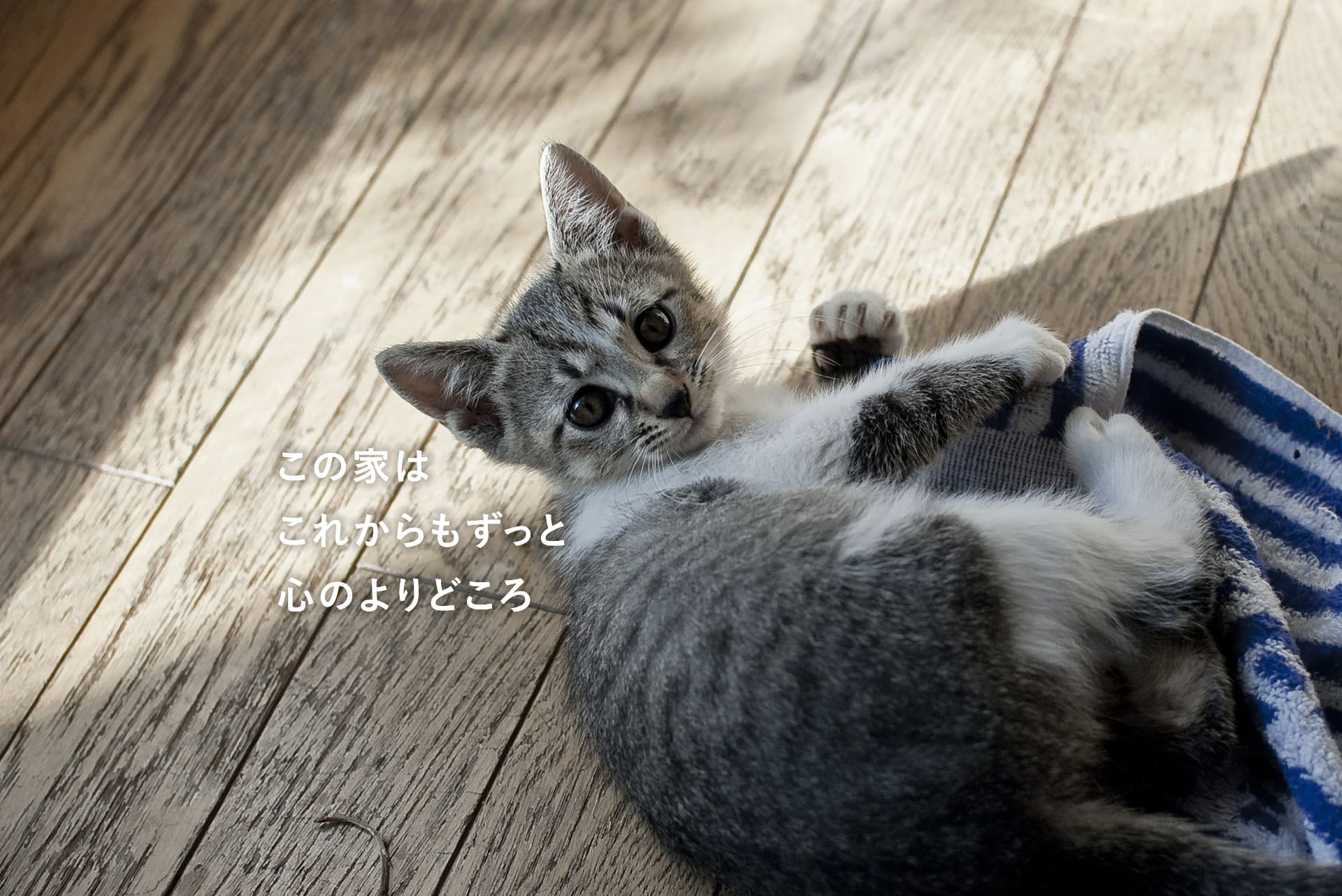 この家はこれからもずっと心のよりどころ