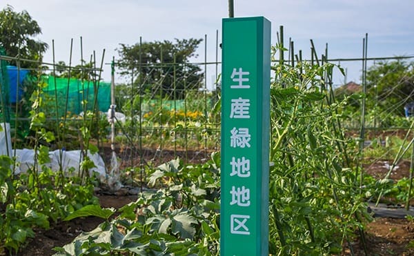 2022年の「生産緑地問題」とは？ 土地活用へどう影響する？