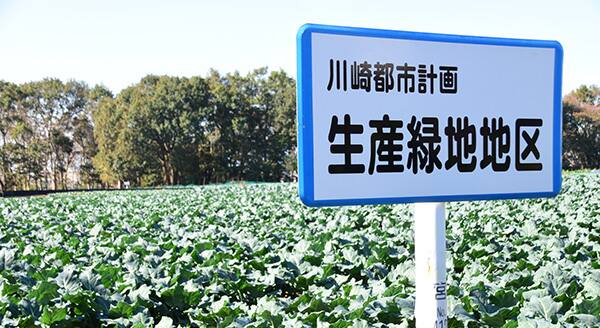 まもなく指定解除を迎える生産緑地、土地活用への影響は？