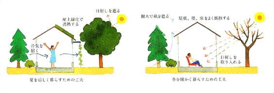 木のある暮らし