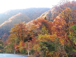 剣岳の登り口付近の紅葉