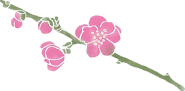 梅